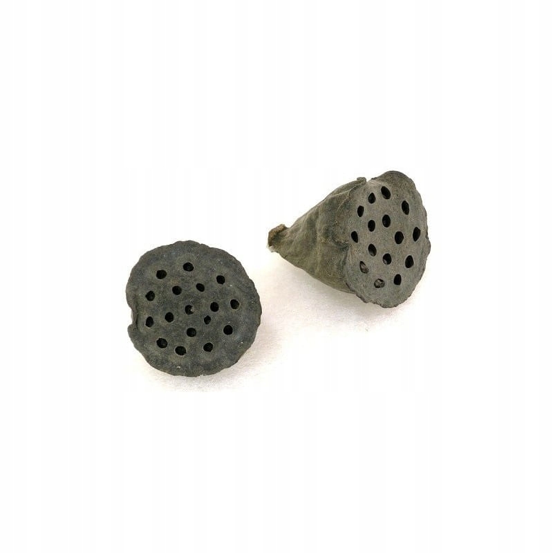 

Lotos mini susz dekoracja 2-3cm