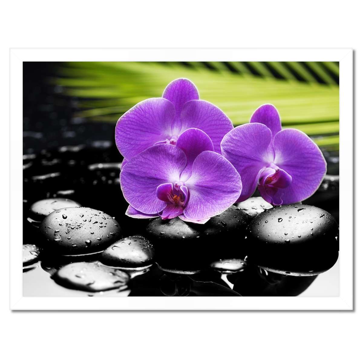 Plakáty v rámu 40x30 Fialové orchideje