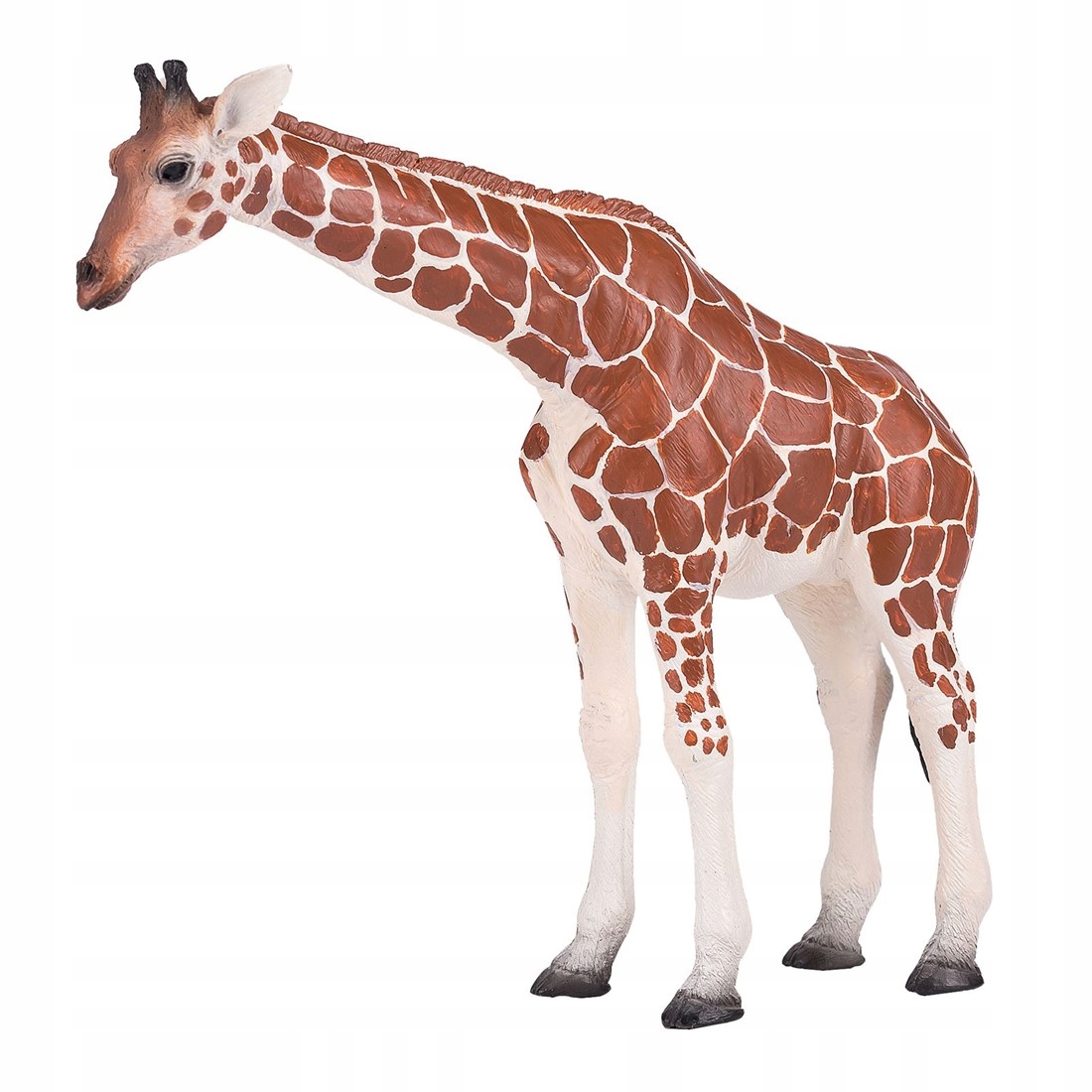 

Żyrafa Samica Giraffe Female Mojo 381033