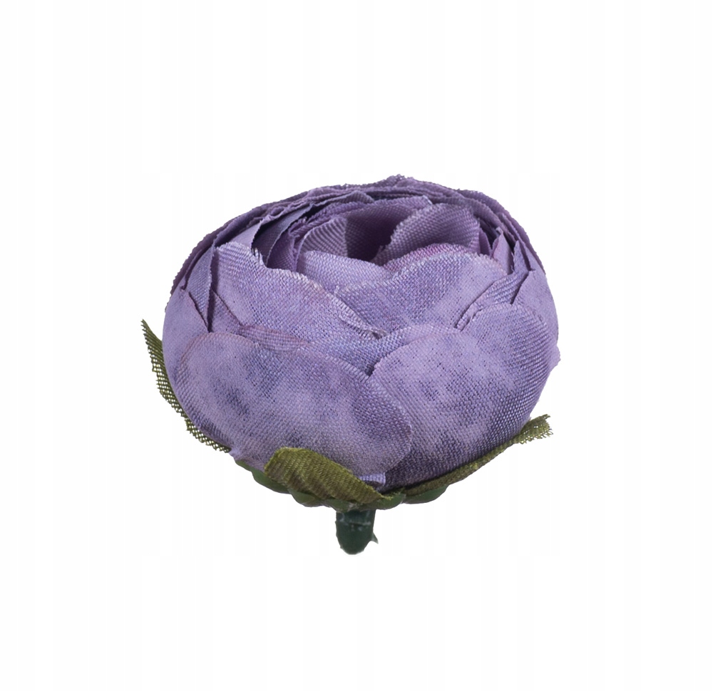 

Kamelka pełnik główka fioletowa wyrobowa