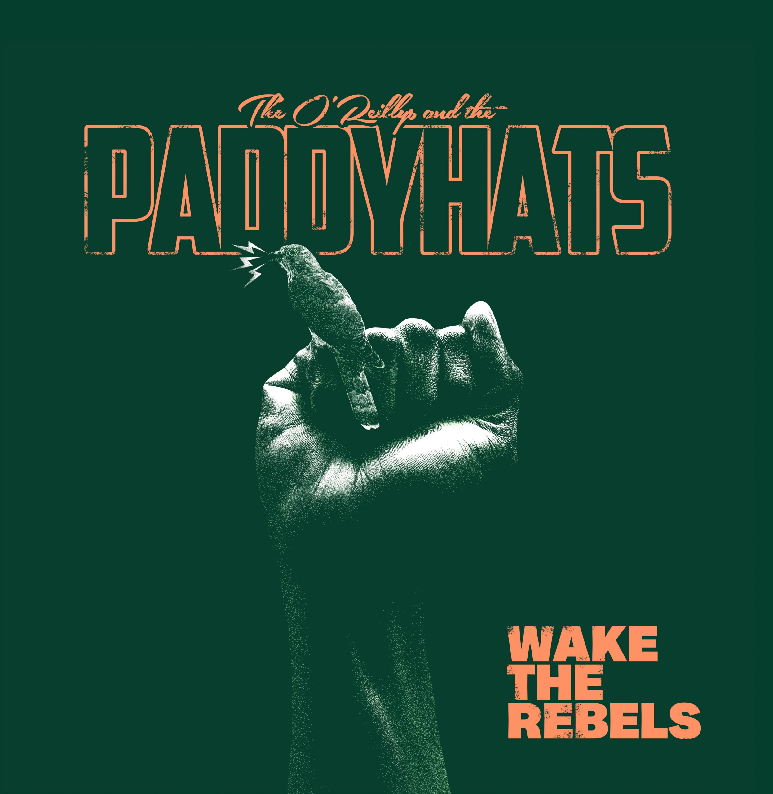 The O'reillys And The Paddyhats Wake The Reb