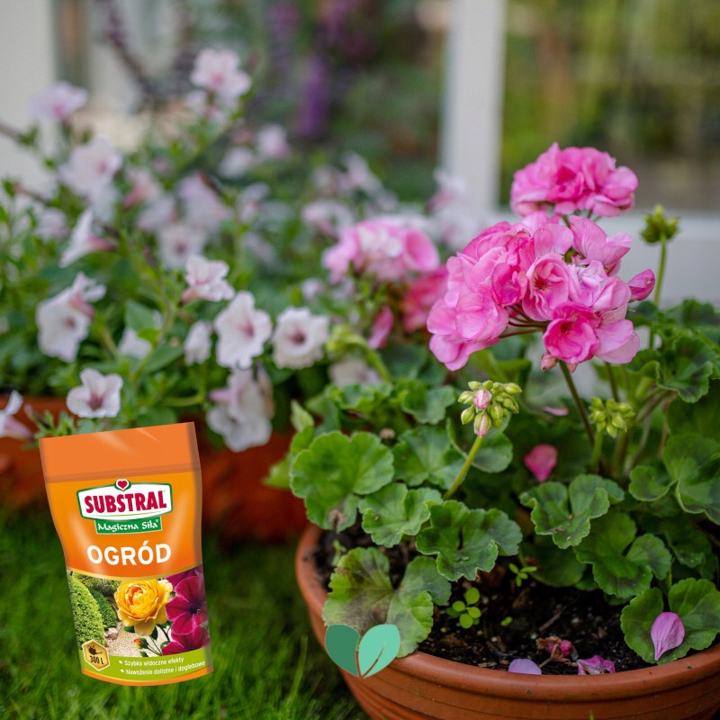 Substral Nawóz do ogrodów Magiczna Siła 300 g Forma proszek