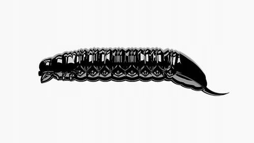 Robak Libra Lures Goliath 3cm, 040- Black 15szt (bez zapachu) Na Pstrągi