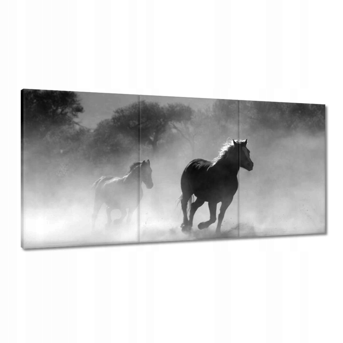 Obrazy 180x90 Cválajúce kone