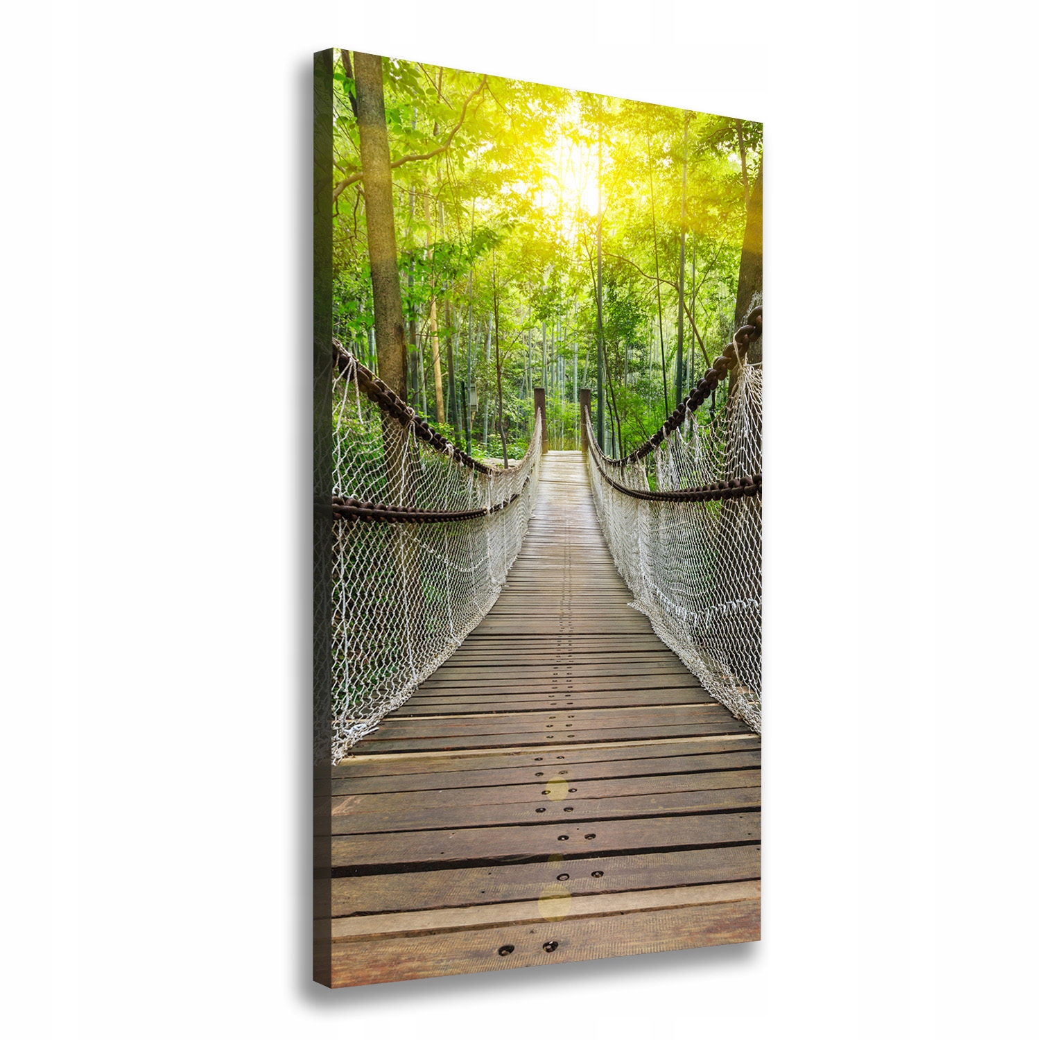 

Foto obraz canvas do salonu Most wiszący 70x140