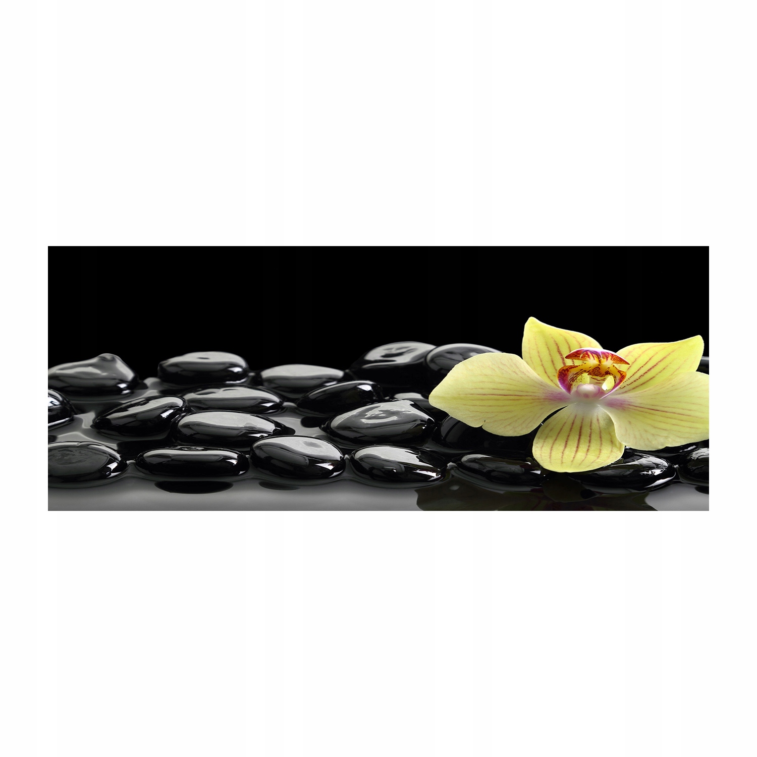 

Foto obraz duży akryl nowoczesny Orchidea 125x50cm