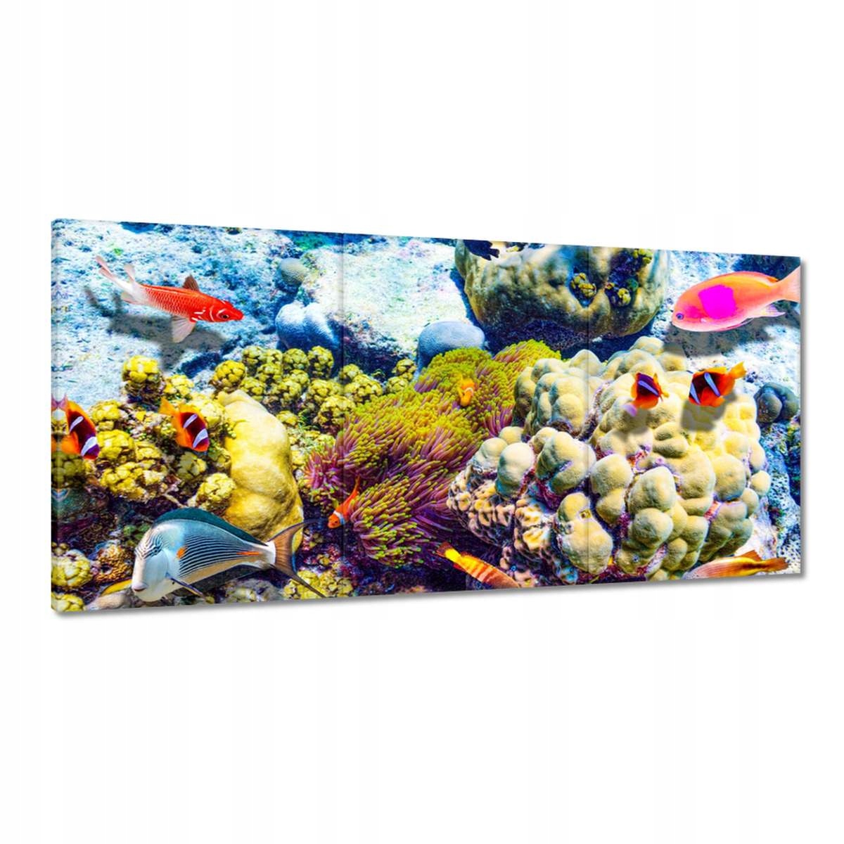 Obrazy 180x90 Nádherný podmorský svet