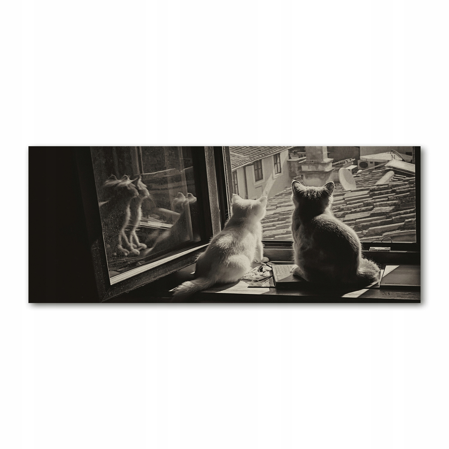 

Foto obraz akryl zdjęcie Koty przy oknie 125x50 cm