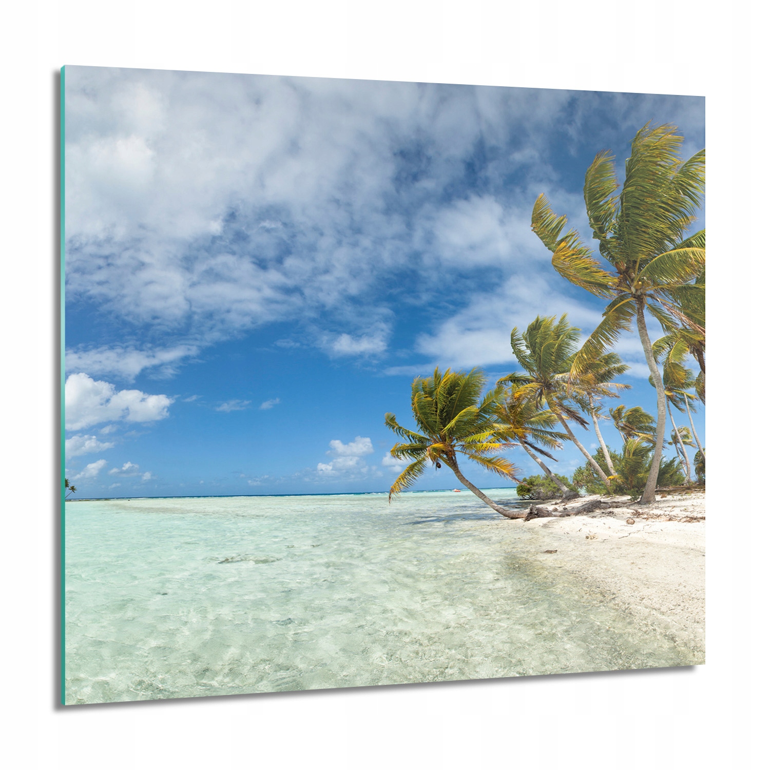 

Panorama plaża palmy Obraz na szkle 60x60 grafika