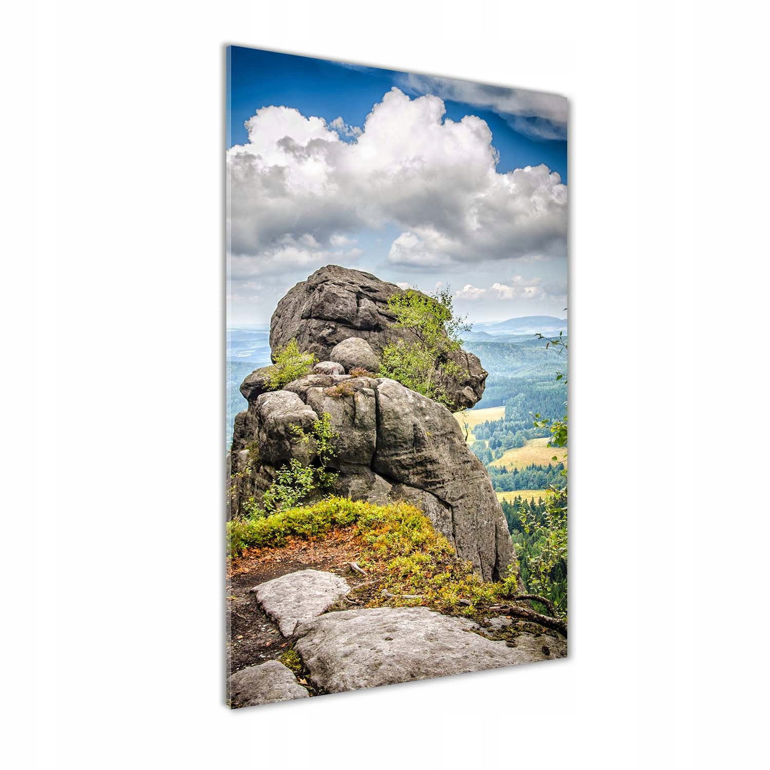 

Foto obraz akrylowy Szczeliniec Wielki 50x100 cm