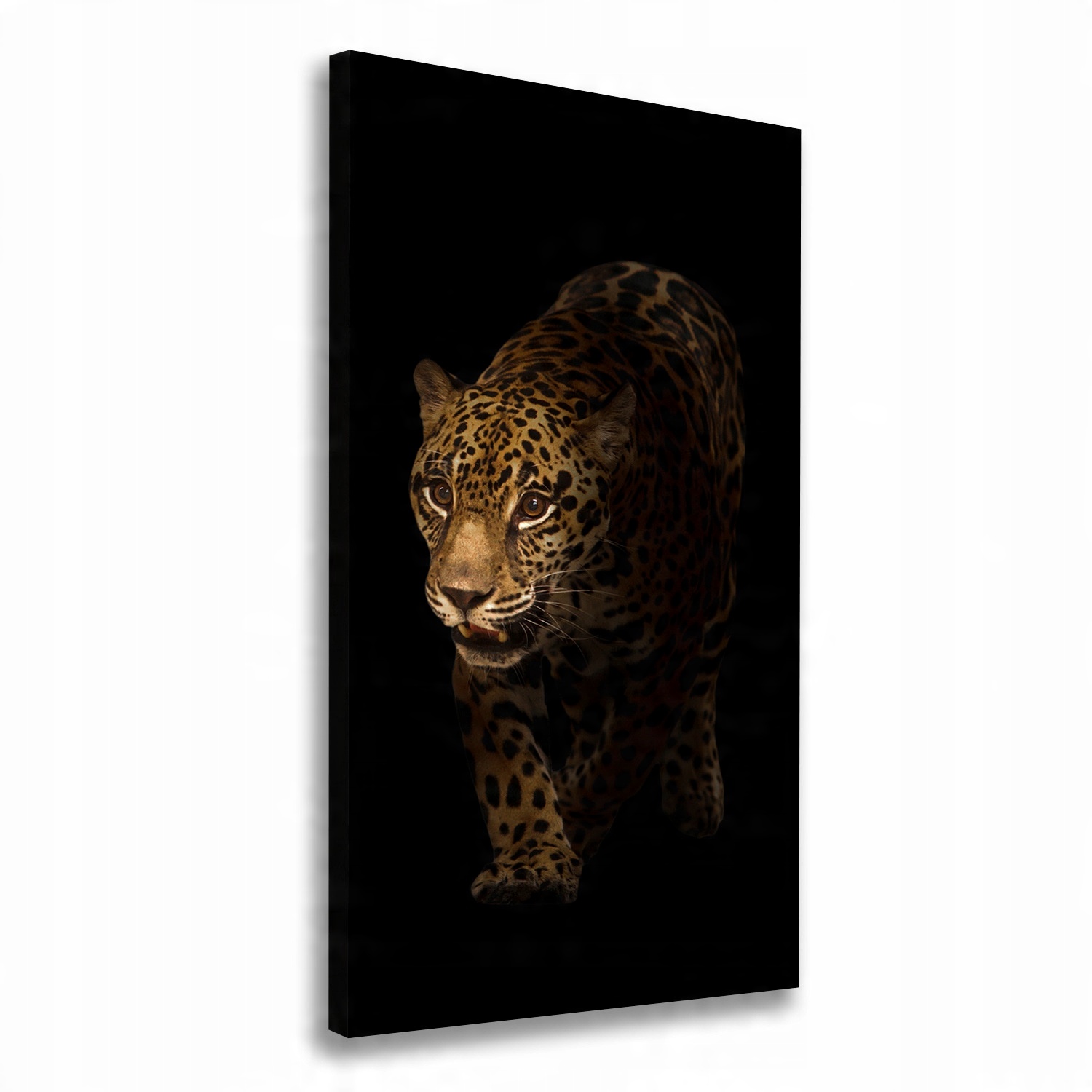 

Nowoczesny fotoobraz canvas na ramie Jaguar 70x140