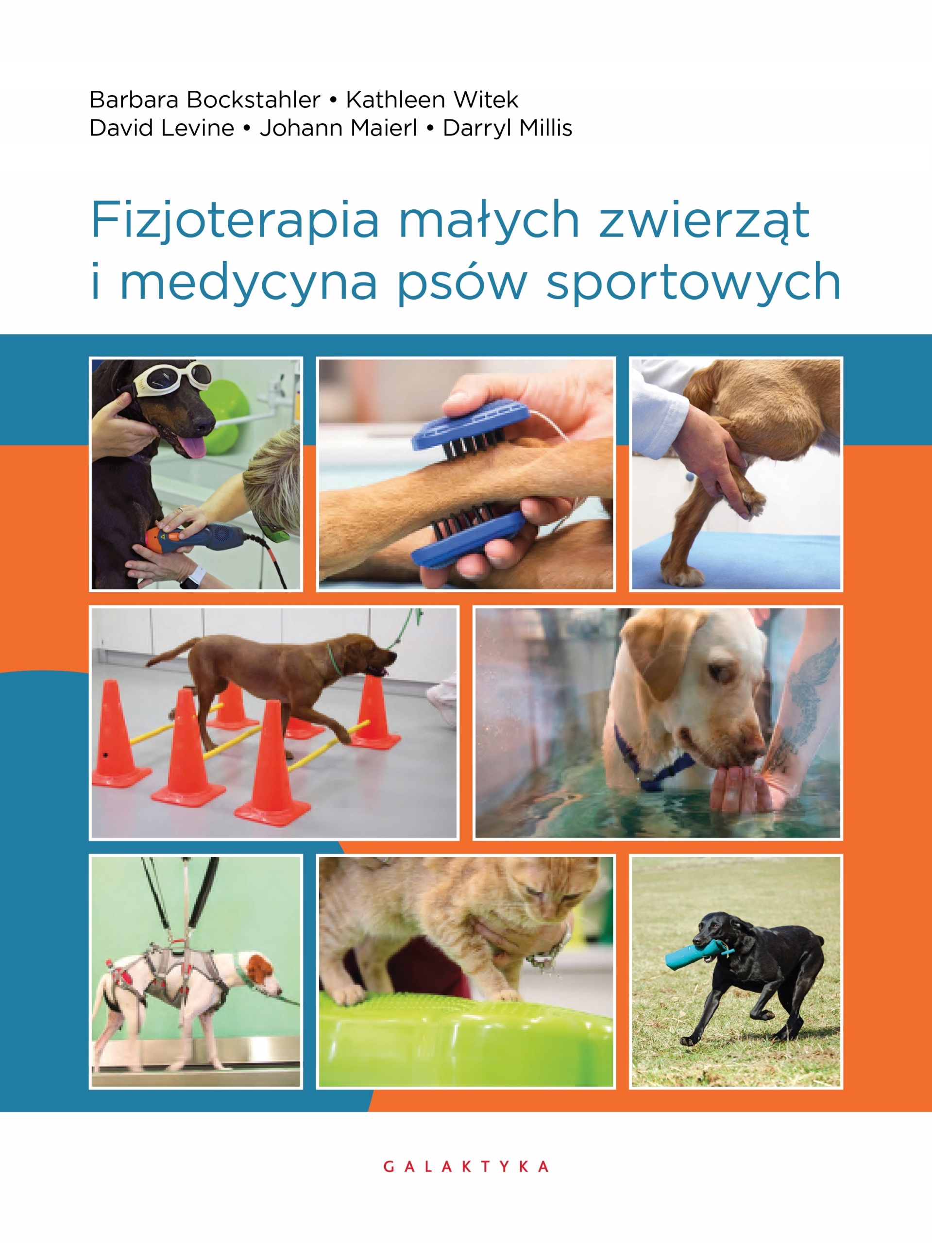 

Fizjoterapia Małych Zwierząt I Medycyna Psów Sport