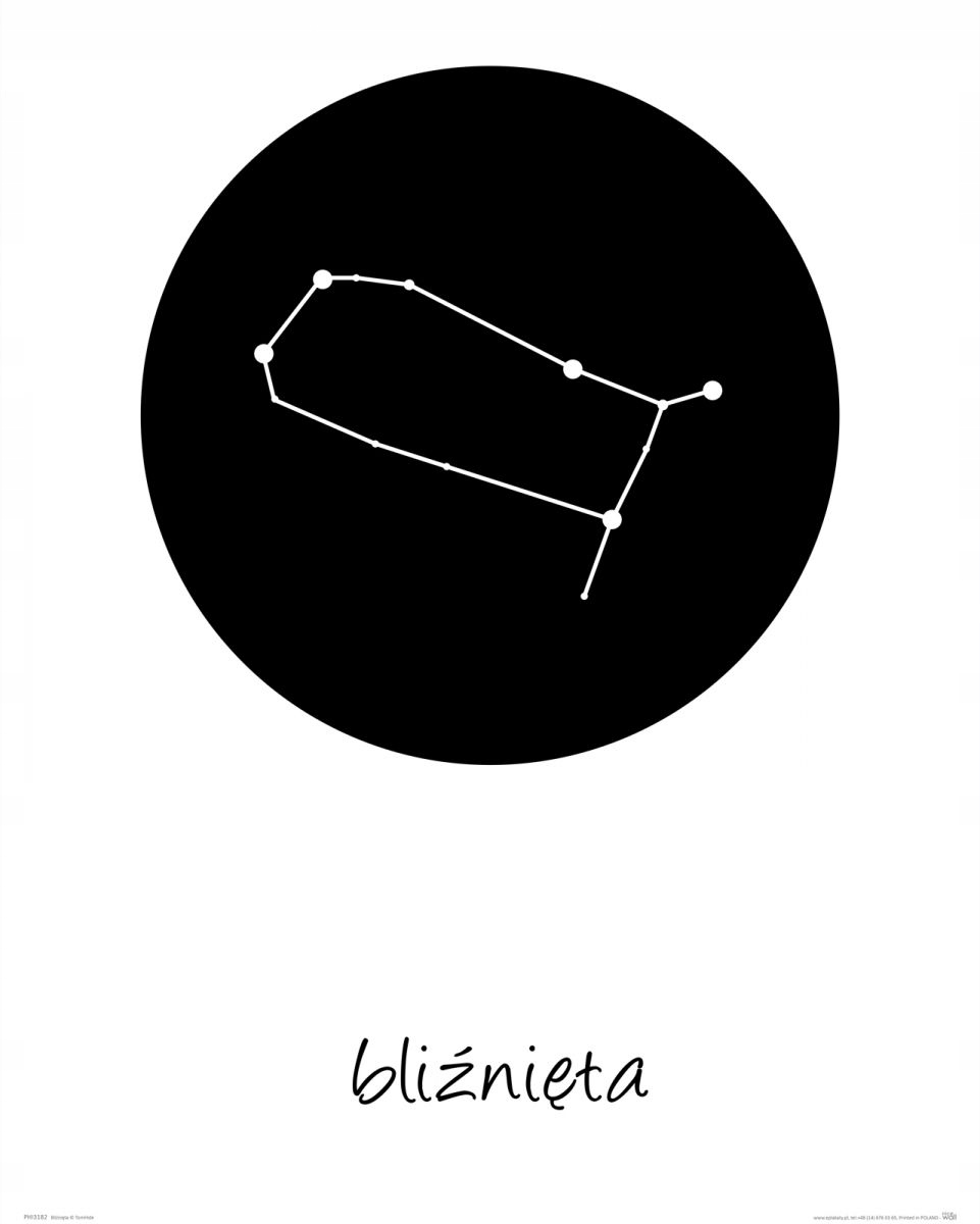 

Plakat Bliźnięta konstelacja Czarno biały 40x50 cm
