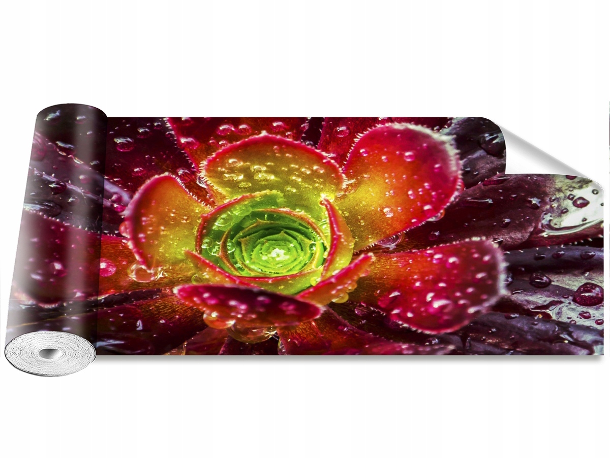 

Tapeta Samoprzylepna Kwiat Czerwony 250x104