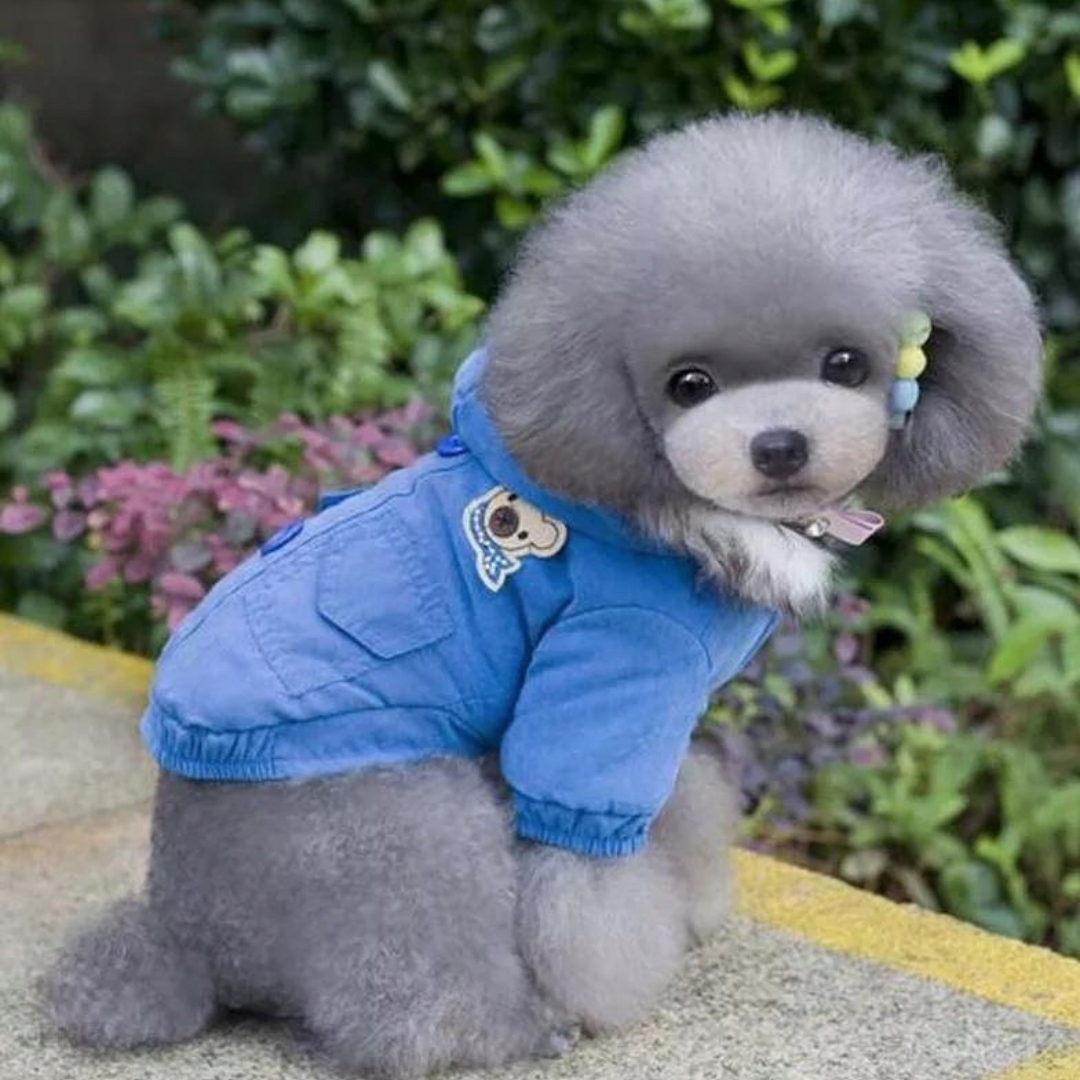 Levně 270/95R36 139A8 Gtk RS200