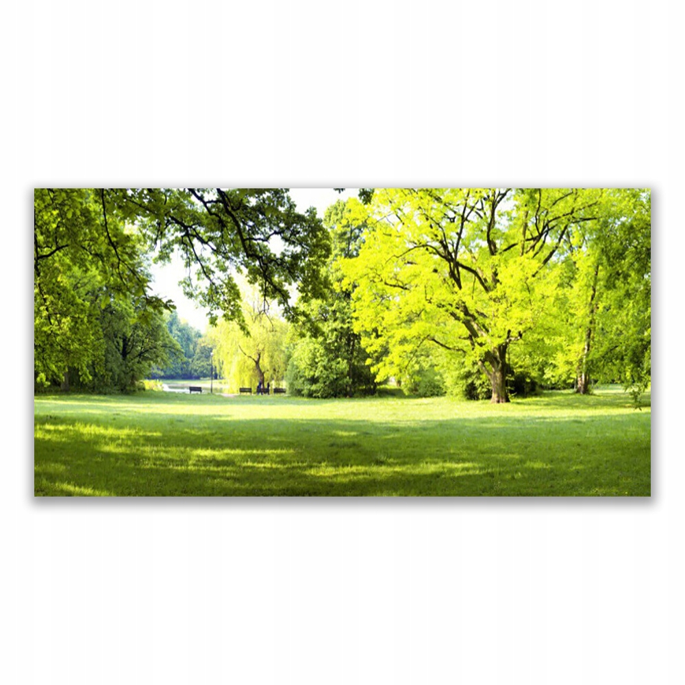 

Fotoobraz akryl 140x70 Trawa Drzewa Park Przyroda
