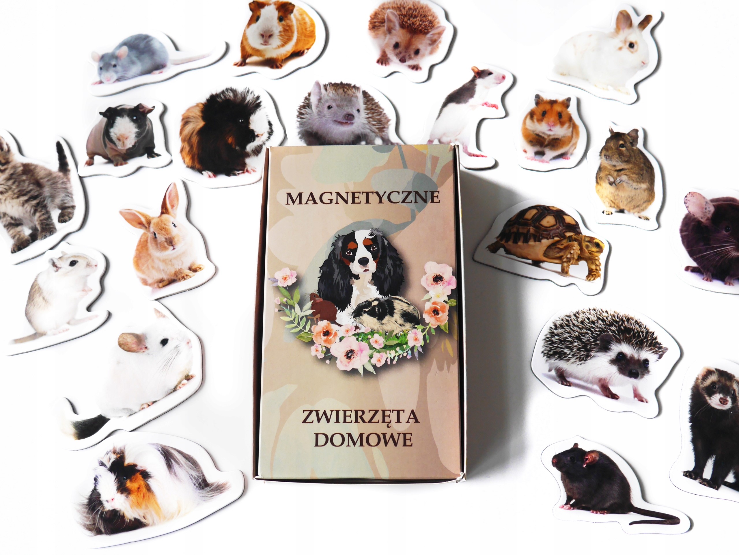 

Magnesy Na Lodówkę Zwierzęta Domowe 30 Szt