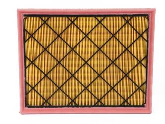 EB3G-9601-AA - ВОЗДУШНЫЙ ФИЛЬТР 2.0 DIESEL PANTHER RANGER 19-