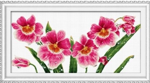 Křížková výšivka počítaná sada (kanva, mulina)