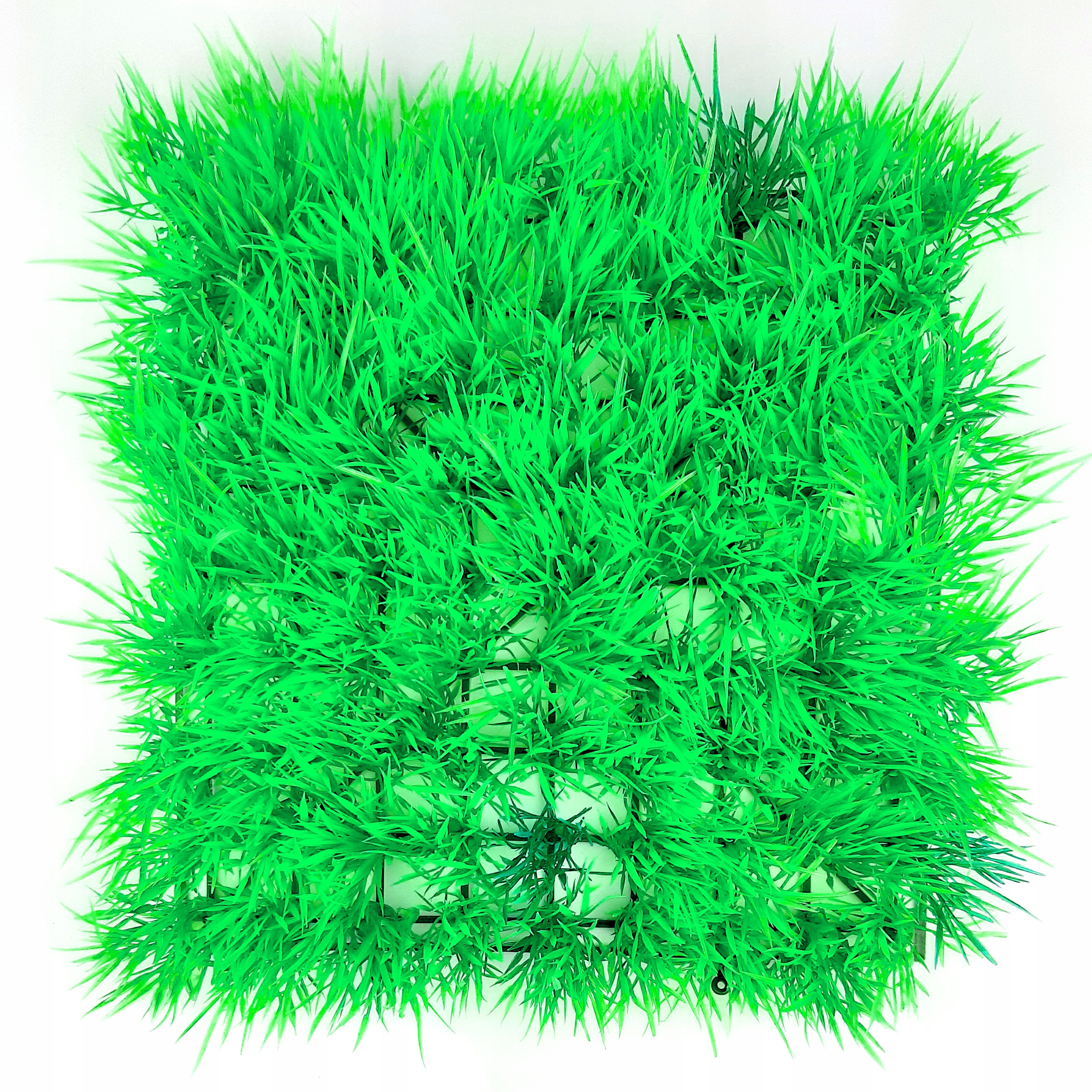 

Rośliny Trawnik Do Akwarium 24 X 24 cm Mp 8376