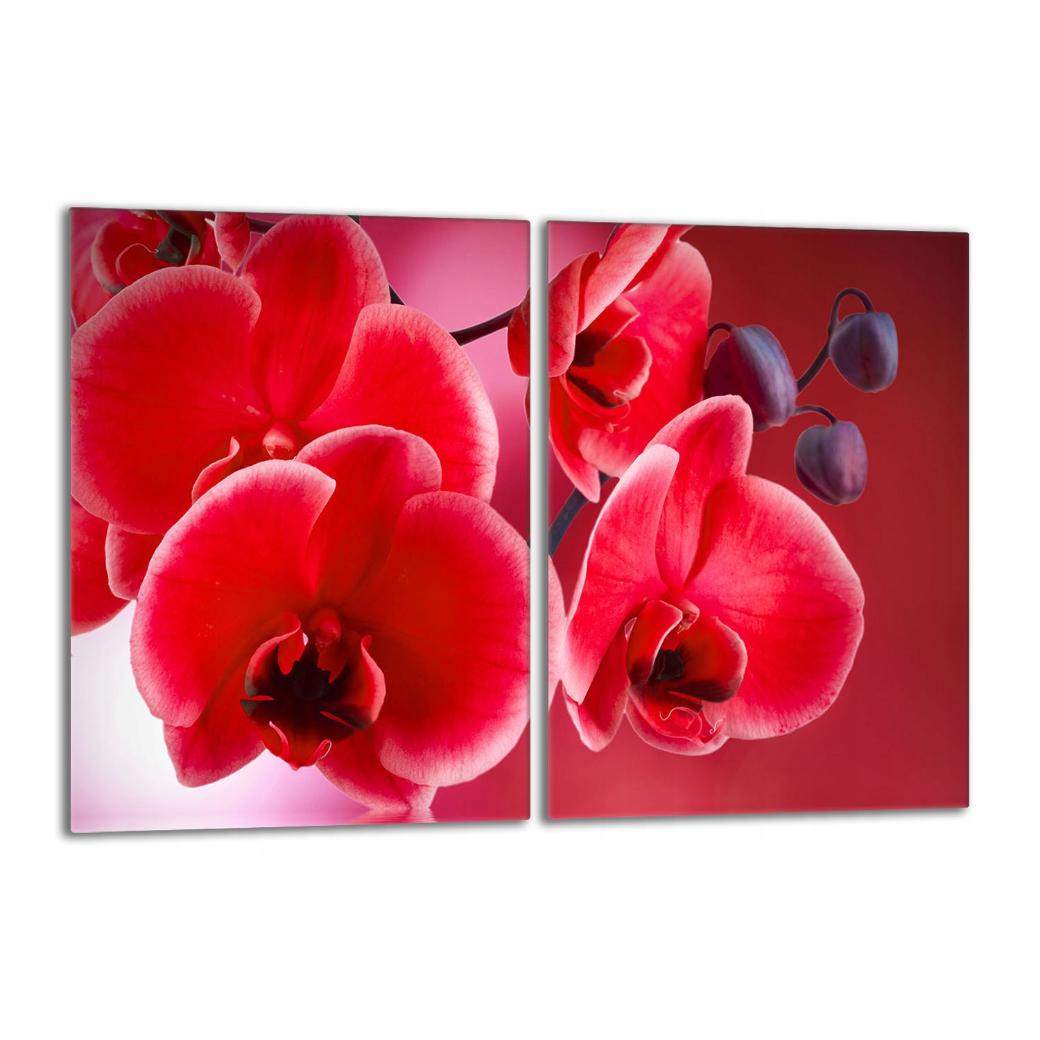 Skleněná ochranná deska na sporák 40x52 Orchidej Do Kuchyně