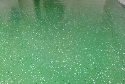 Epoxidová pryskyřice pro podlahy 25 kg Zeleň RAL6001