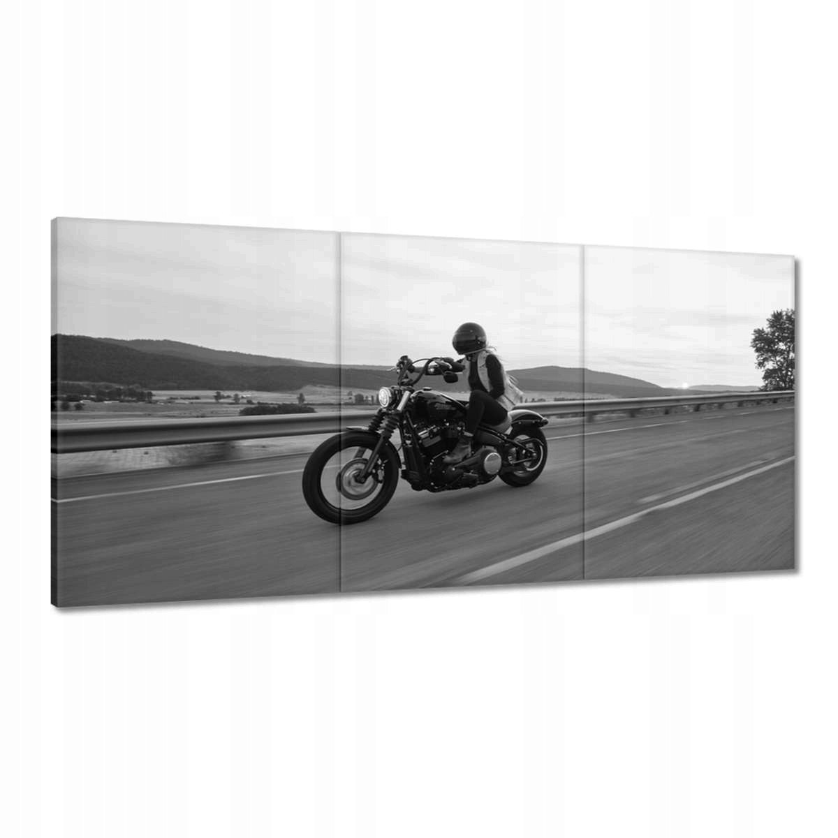 Obrazy 180x90 Harley Davidson Motocykel