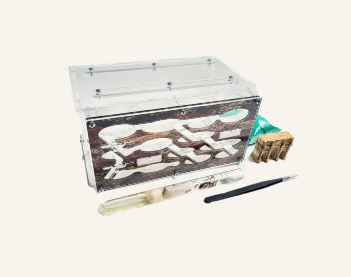 Levně Sada Krystal pro chov mravenců z formikária Vzdělávací sada