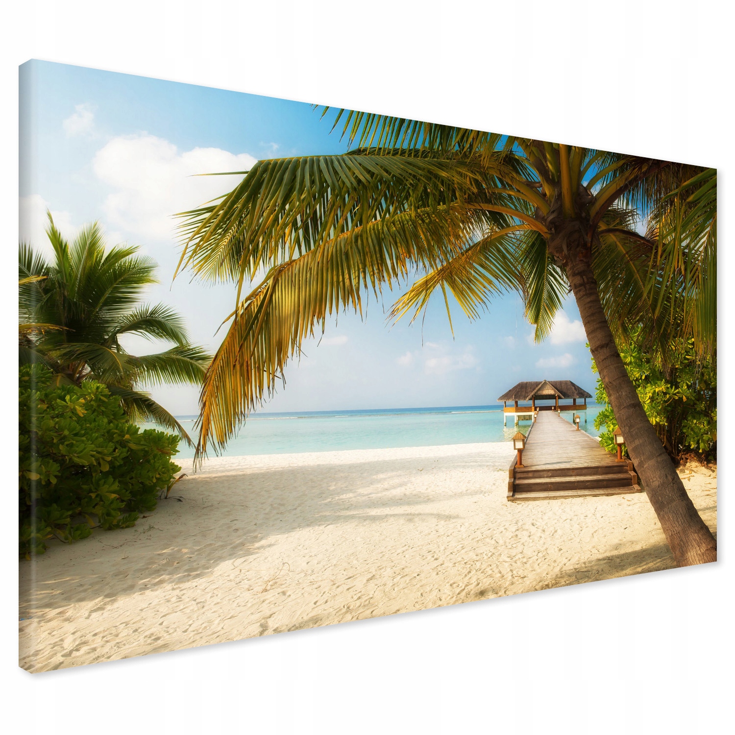 

Obraz na płótnie Malediwy plaża morze 120x80