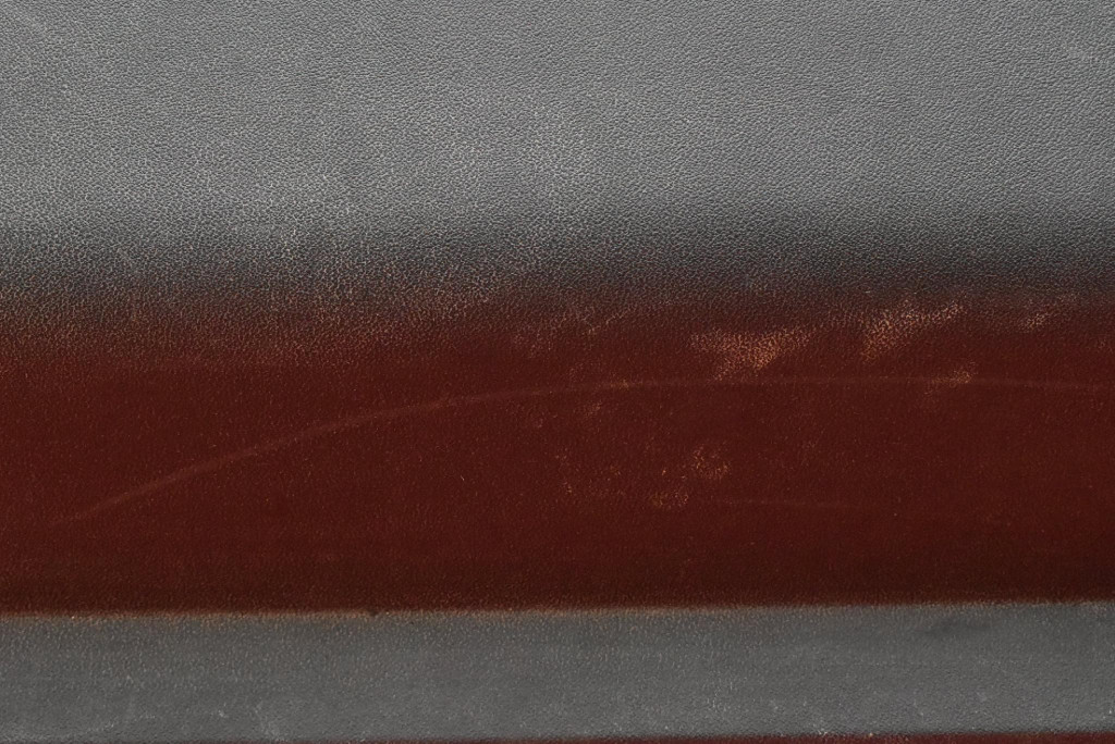 cover covering WANNY boot EU 1006329-00-E TESLA MODEL S 16-20