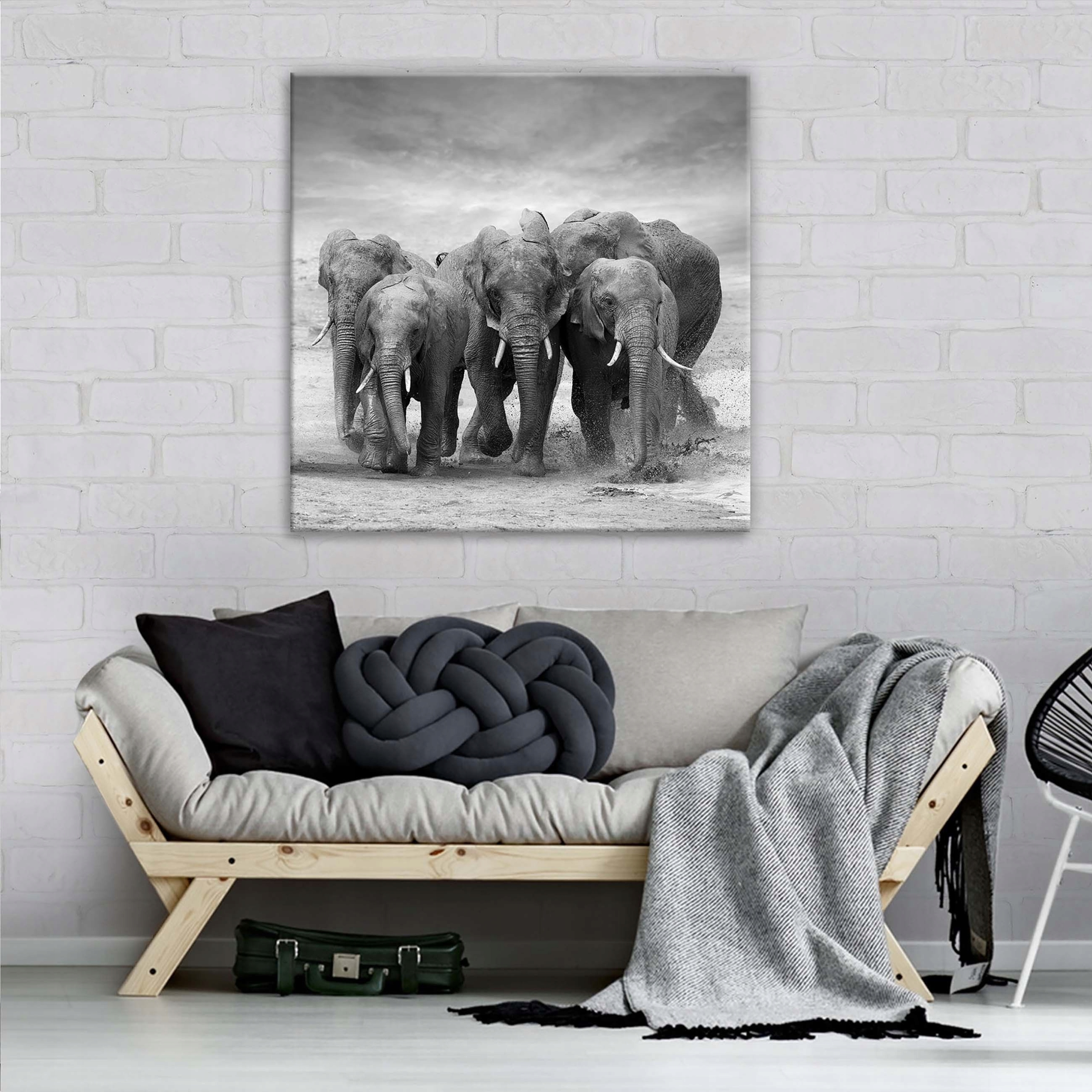 Obraz 80x80 Sloni stádo voda Afrika monochromatické divoká příroda