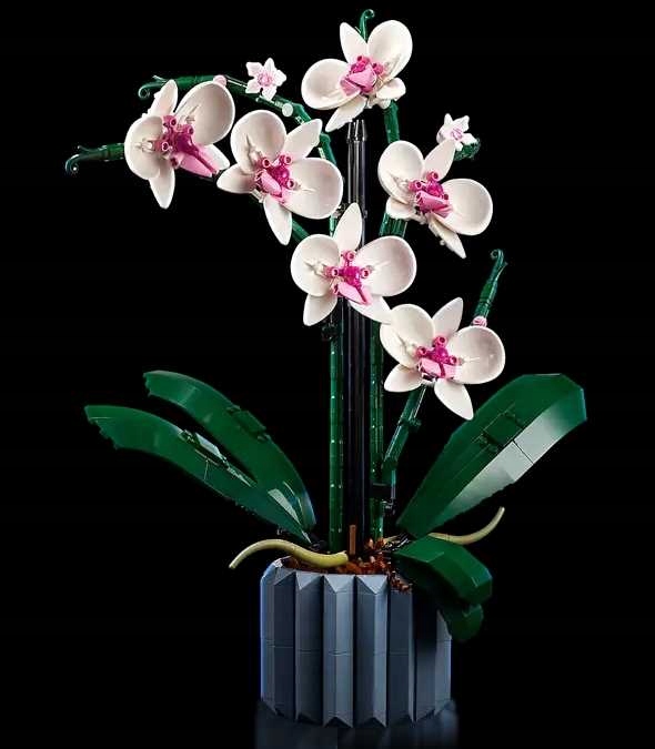 10311 - LEGO Icons - Orchidea Rodzaj bukiety