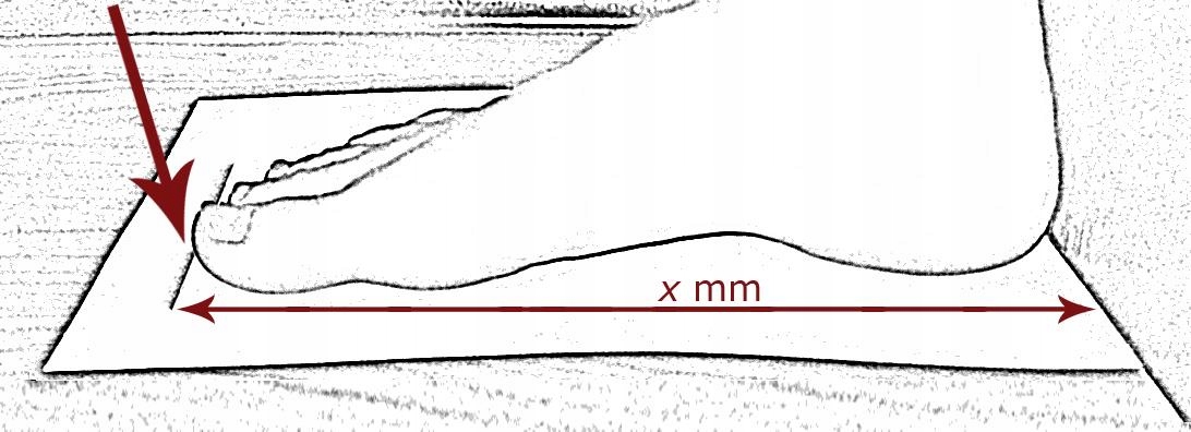 Buty snowboardowe Northwave Edge 43,5 - 285mm Marka Northwave