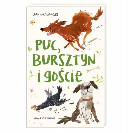 

Puc, Bursztyn i goście