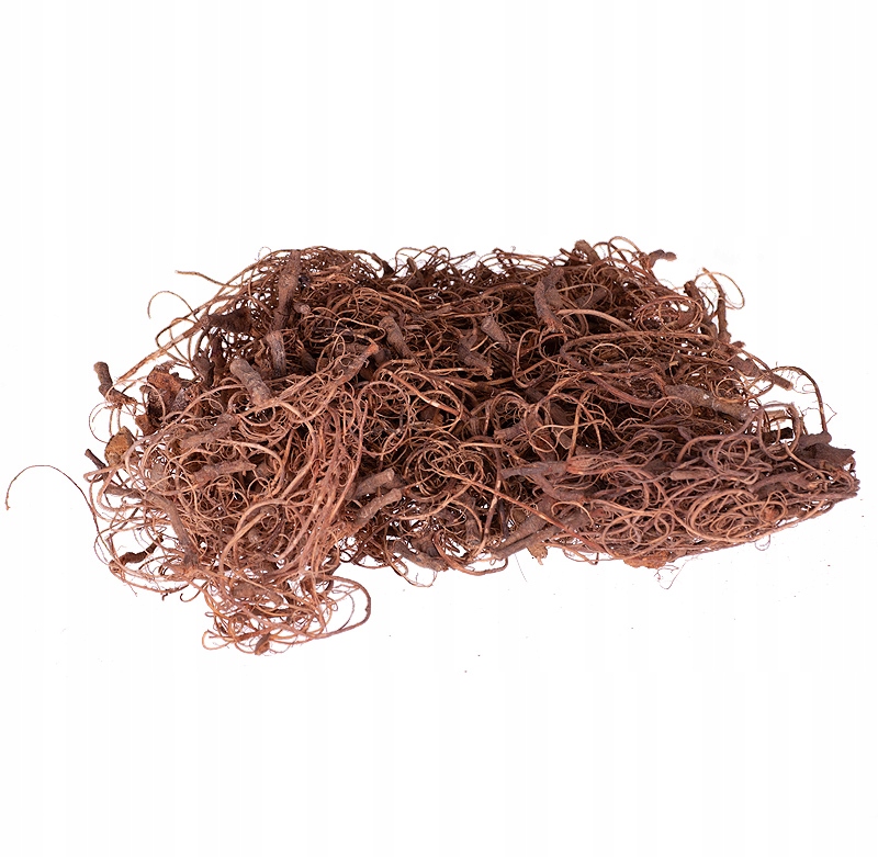 

Curly moss naturalny 100g susz dekoracyjny