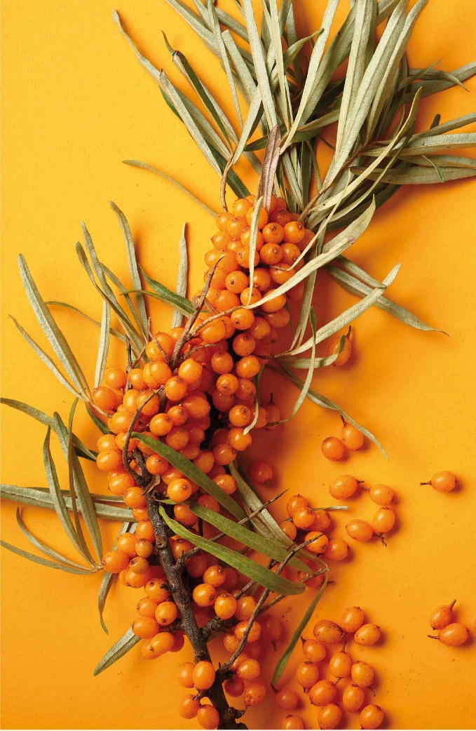 PROMOCJA ! SUPERFOOD CONTEMPORA AKSAMITNA MASKA VELVET 350 ML Marka bez marki