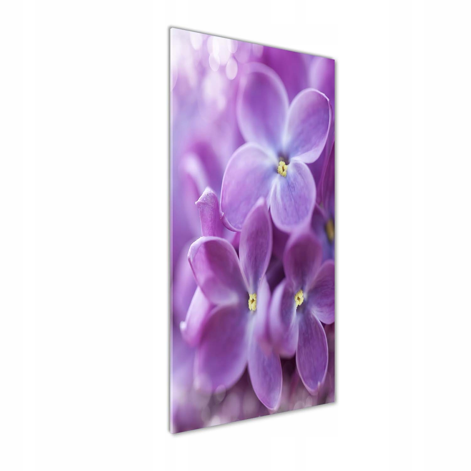Akrylový fotoobraz na stenu Kvety bazy 50x125 cm