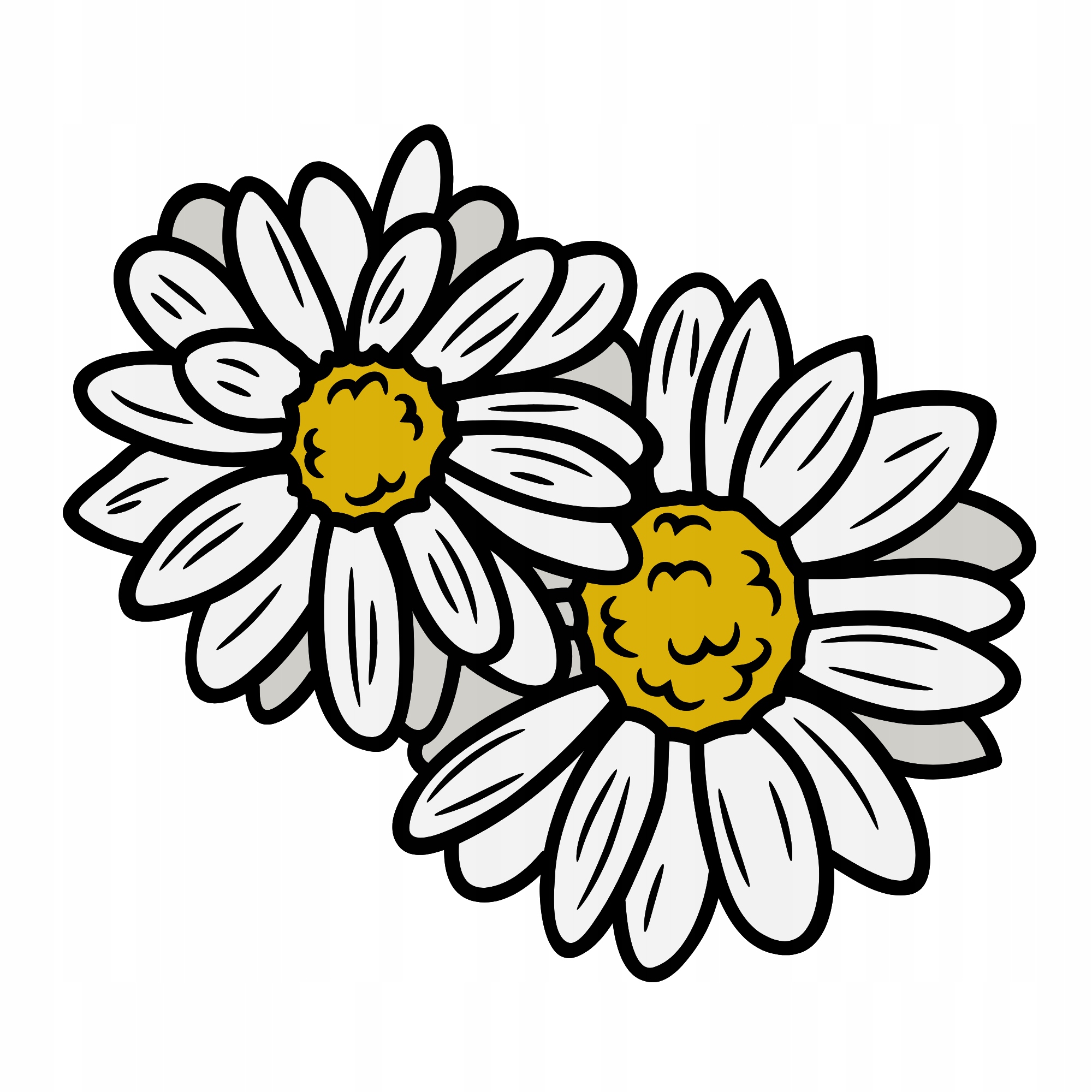 

Naprasowanka Rumianek Termo Naklejeka Na Odzież 2