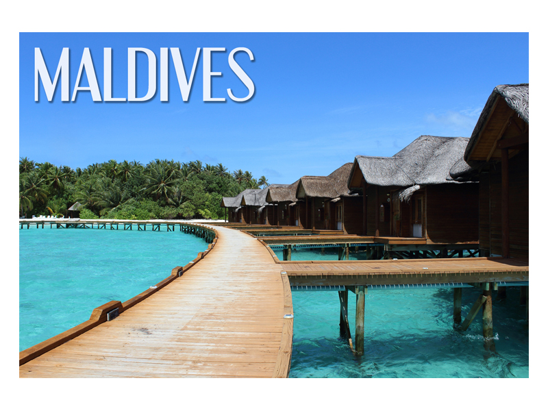 

Malediwy Ocean Palmy Magnes na lodówkę