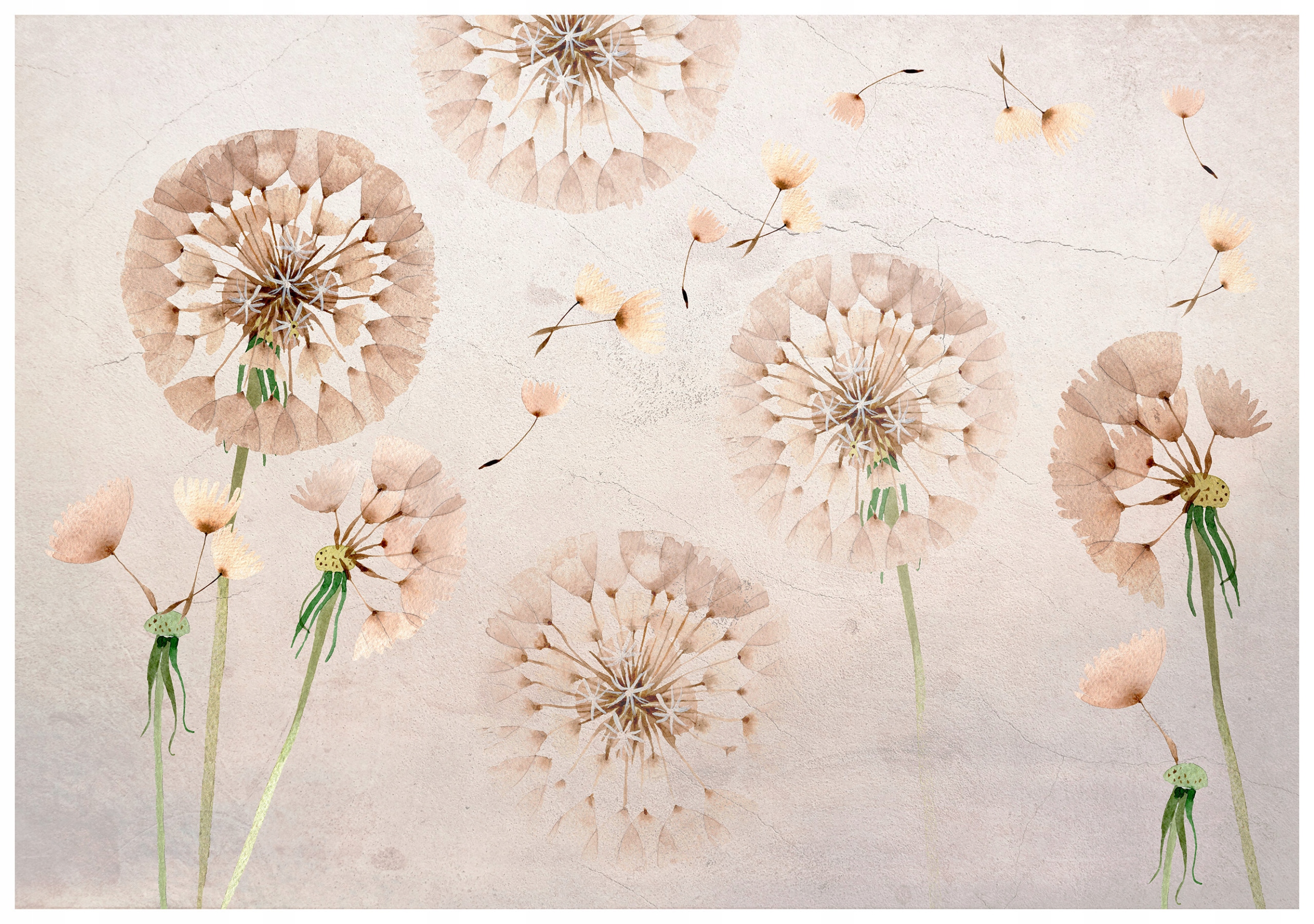 Fototapeta Akvarijní pampelišky Letní vánek ve vašem domě 368x254 lepidlo