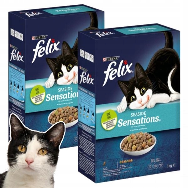Karma dla kota sucha Felix Seaside łosoś PAKIET