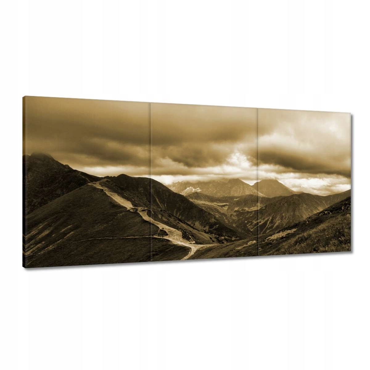 Obrazy 180x90 Tatry Poľské hory Pohľad