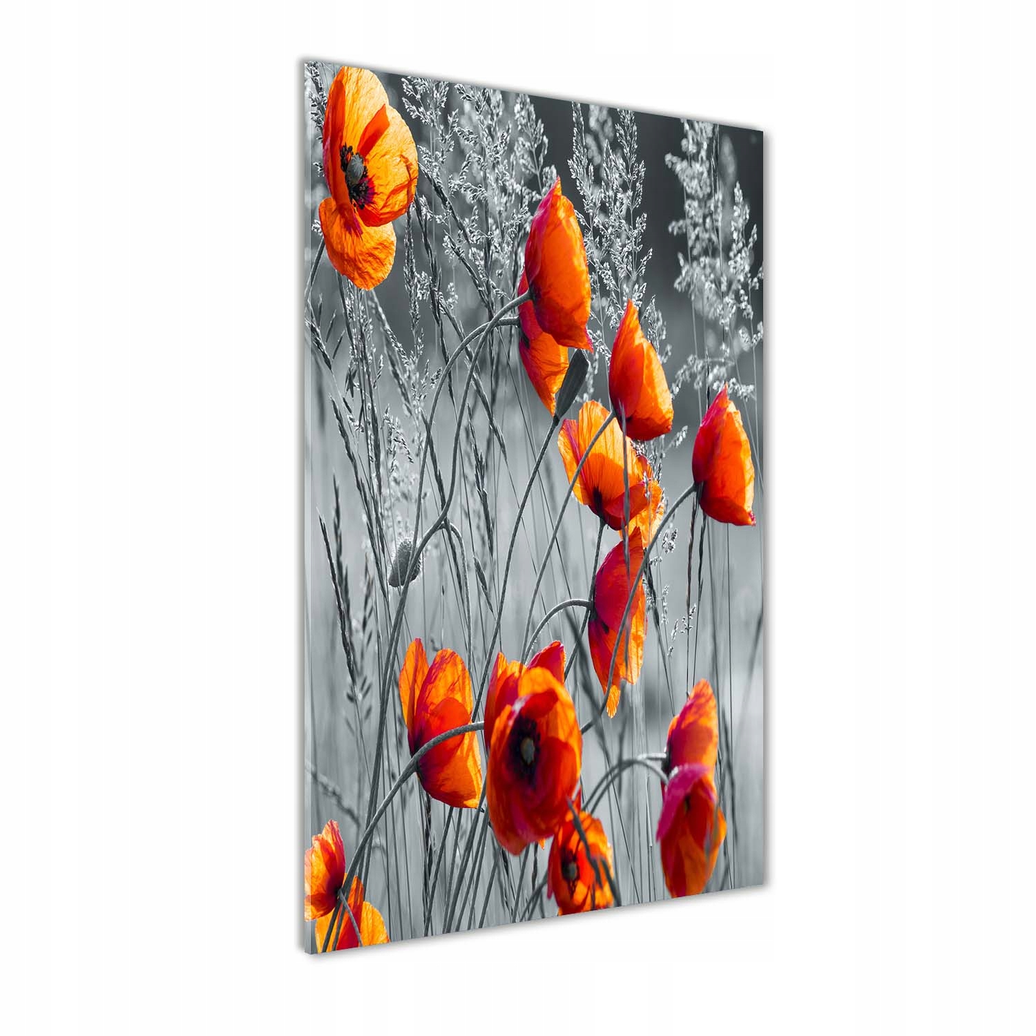 

Foto obraz akrylowy na ścianę Polne maki 70x140cm