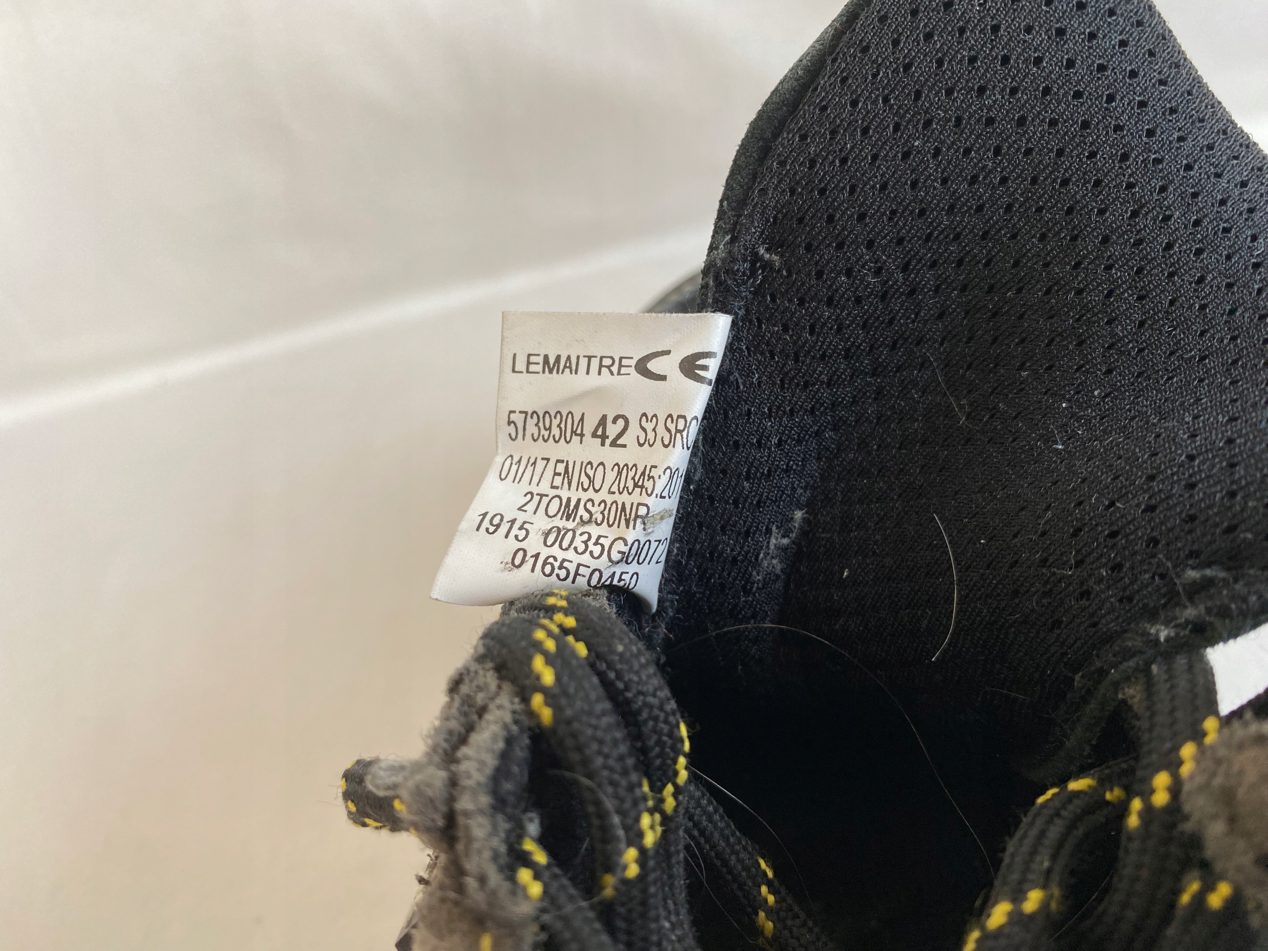 Buty robocze Lemaitre S3 Przeznaczenie uniwersalne