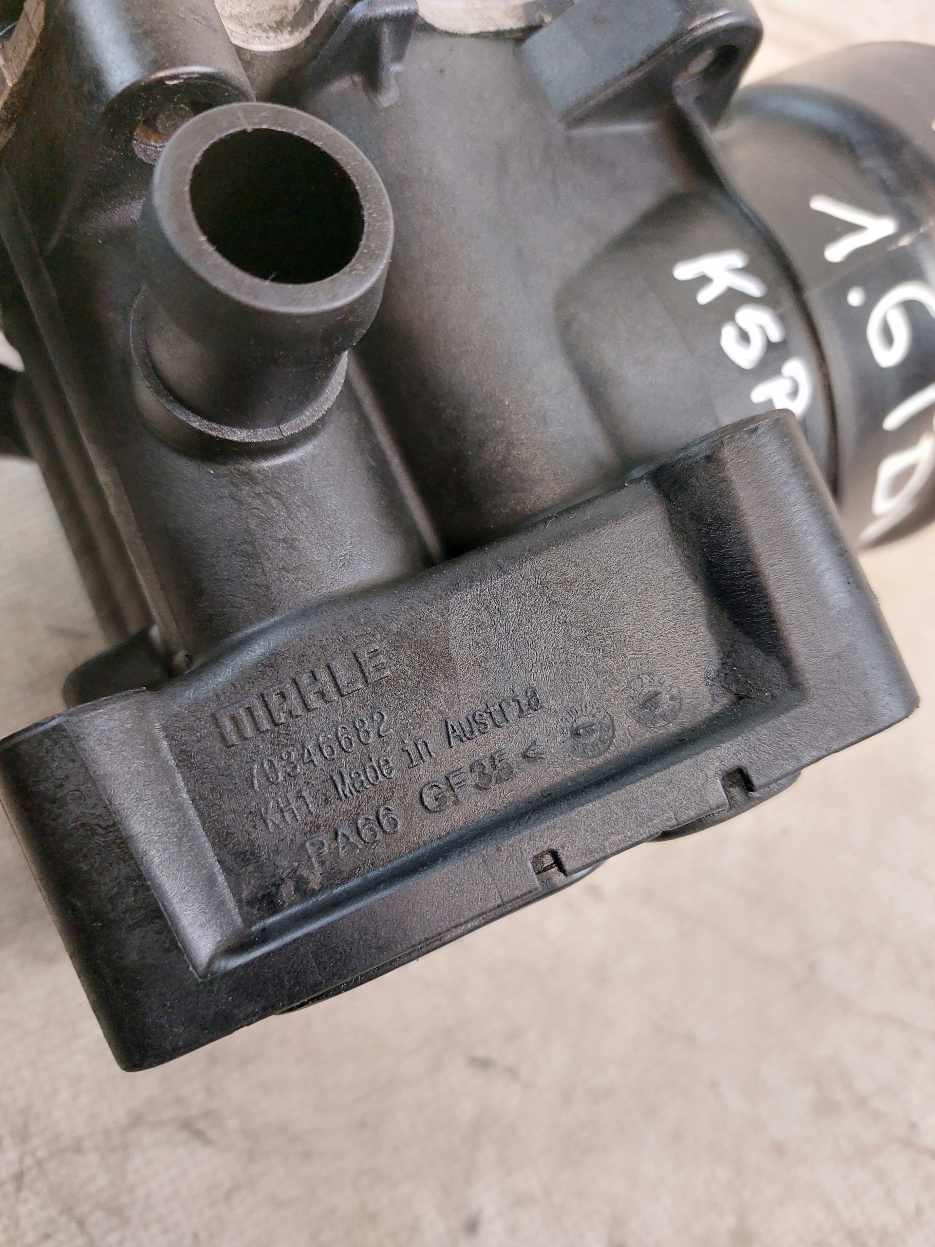 radiator oil AUDI A3 8P 1.6TDI