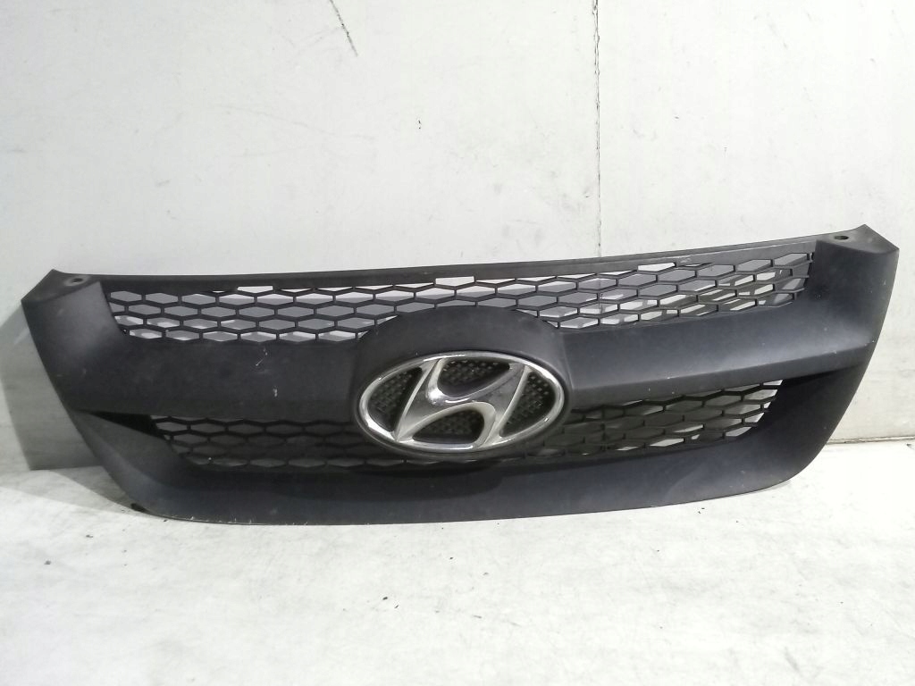 Hyundai Sonata V 5 grill grill grille
