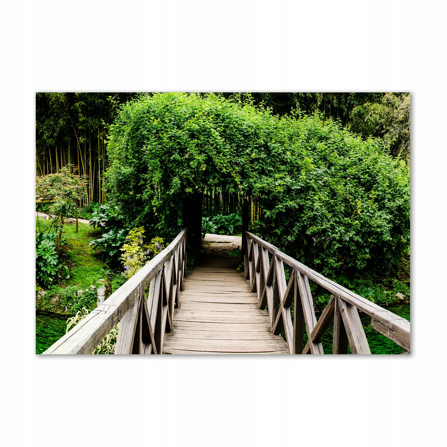 

Foto obraz szkło hartowane Most na rzece 100x70