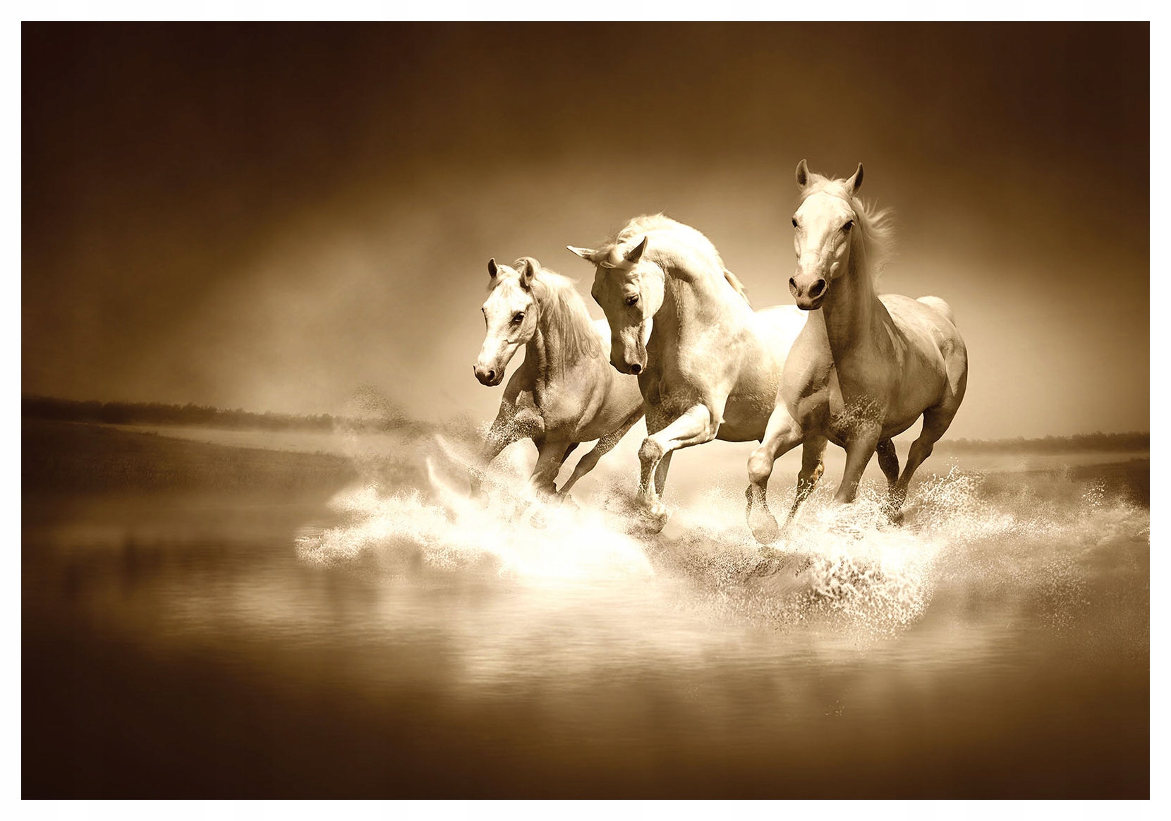 Vliesová fototapeta Bílí koně ve vodě, energie a pohyb 254x184 lepidlo