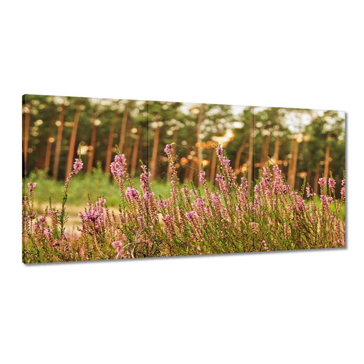 Obrazy 180x90 Vres opletený pavučinou