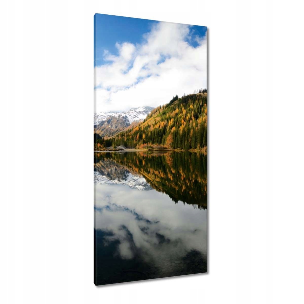 Obrazy 55x115 Alpský pohled